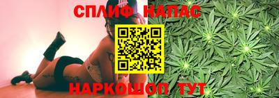 apvp Владикавказ